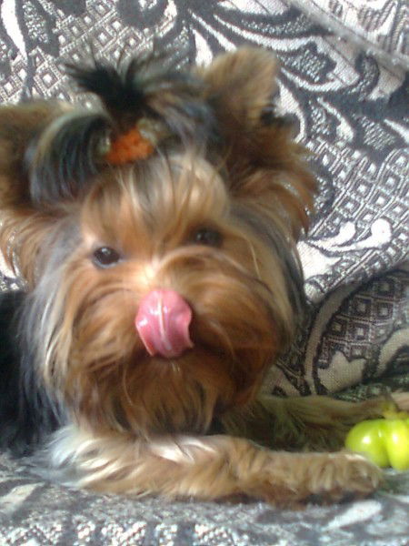 Танюшка Пшеничная