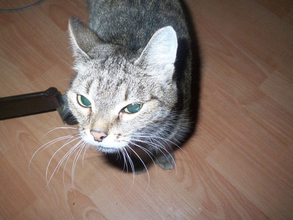 Вадим Морозов