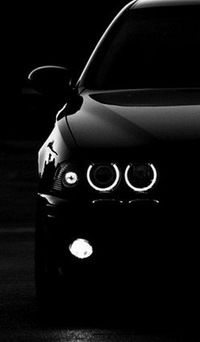 Віталік Боровицький