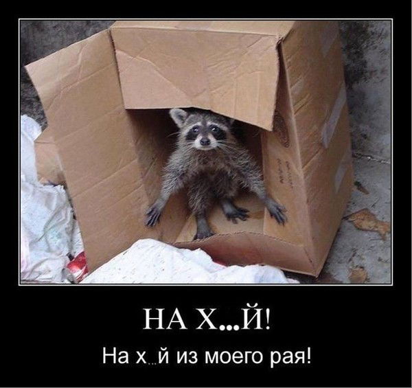 Сергей Фомин