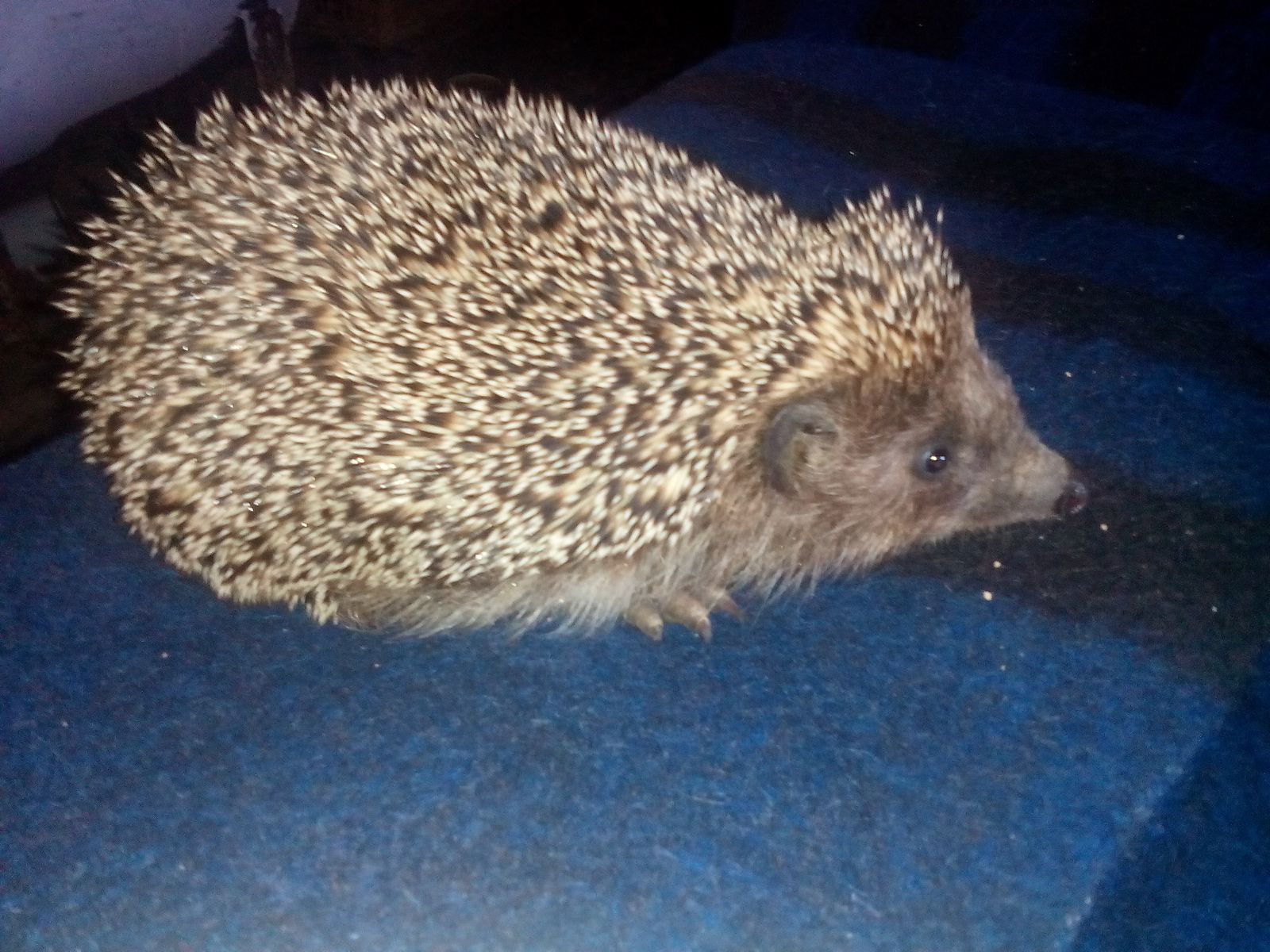 Лилия Мельникова