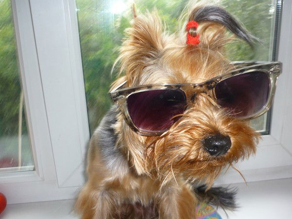 Егор Егоров