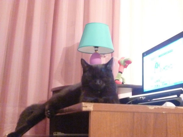 Светлана Родионова