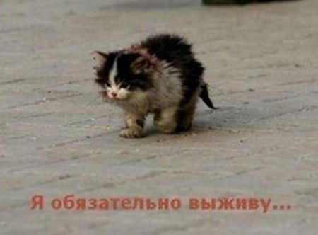 Берик Дилдабеков