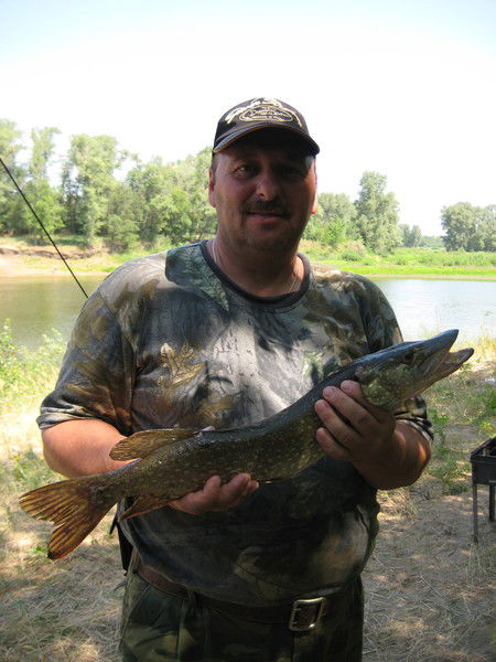 Александр Куценко