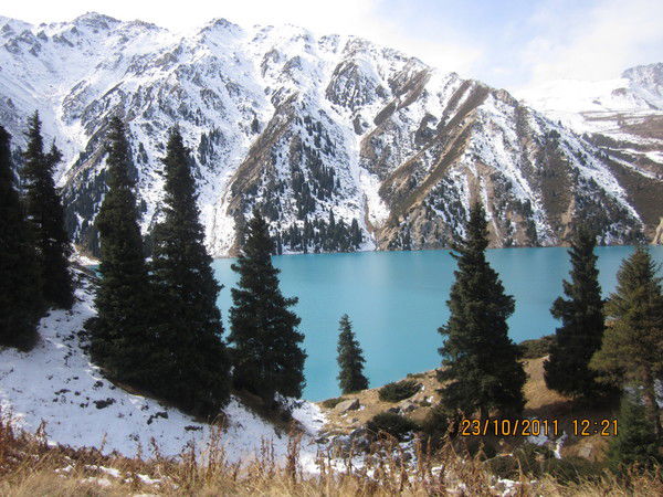 Айнур Камзанова