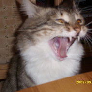 Ольга Иванова