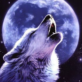 Мари Просто Мари