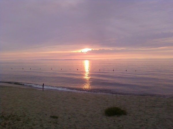 Стас Горбунов