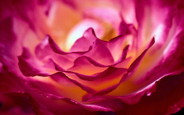 Аня Тришина