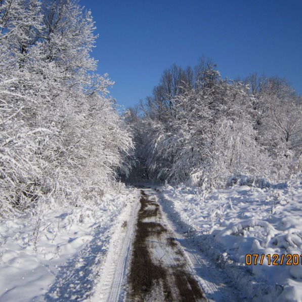 Сергей Бойко