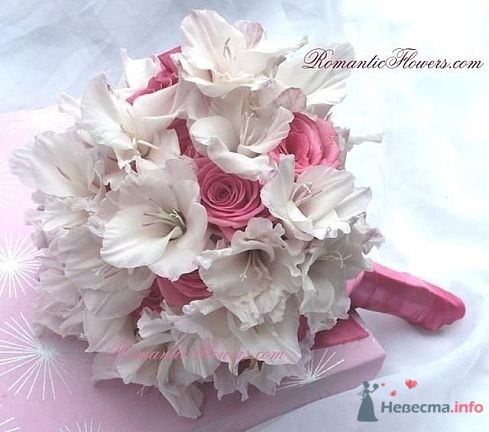 Диантус Жукова