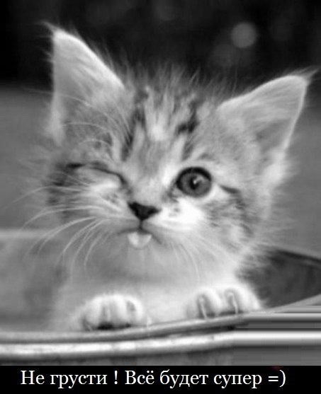 Алтынай Кенжебекова