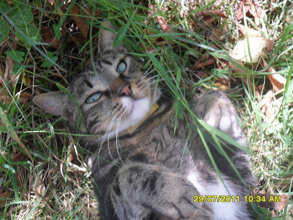 Никита Ермак