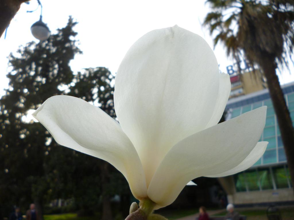 Нина Бирюкова