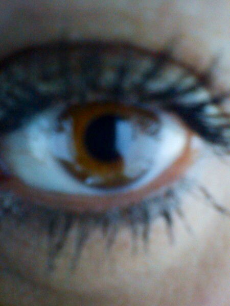 Елена Вавилова