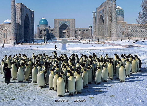 Виктор Явкин