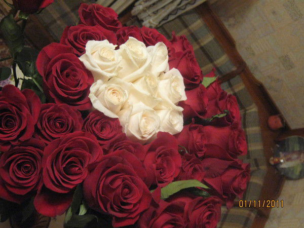 Надежда Волохова