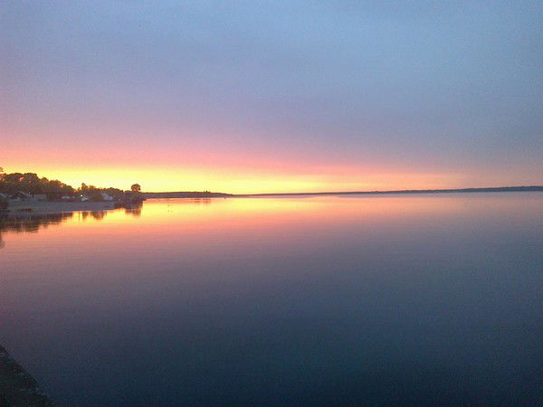 Евгений Веселков