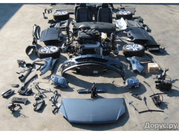 Кукаев Николай