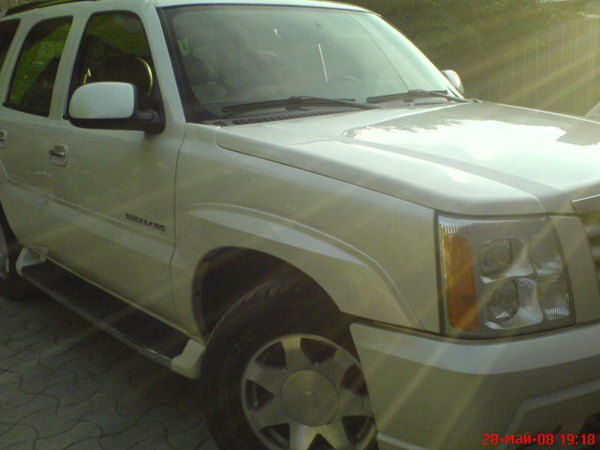 Людмила Столповская