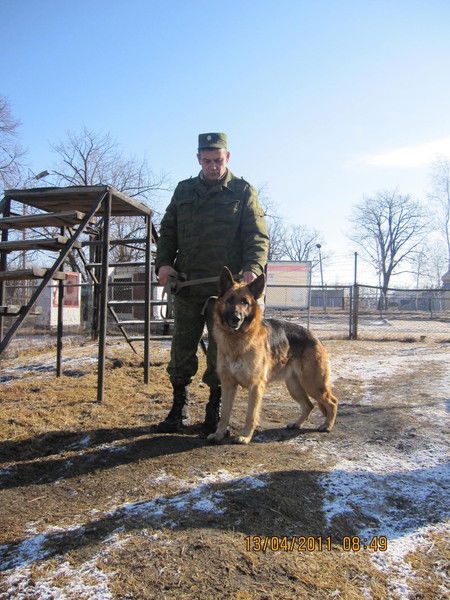 Юрий Мадиаров