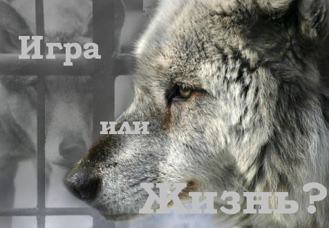 Артём Заречнев