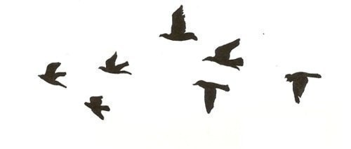 Ольга Яковлева