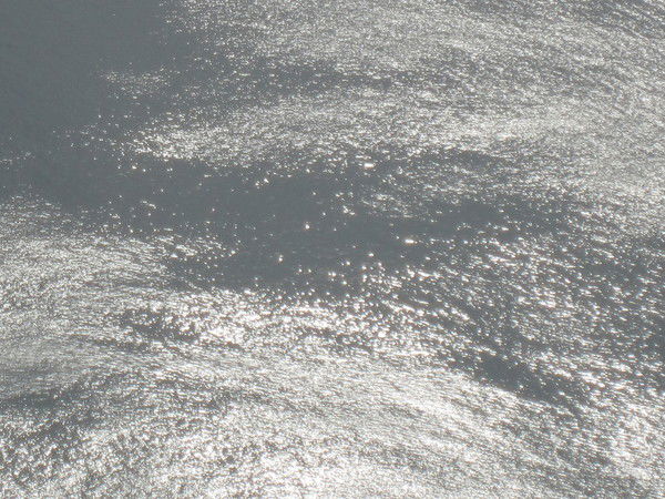 Андрей Заболотских