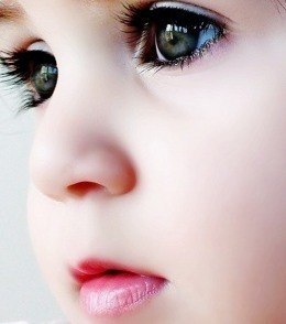 Сергей Кротов