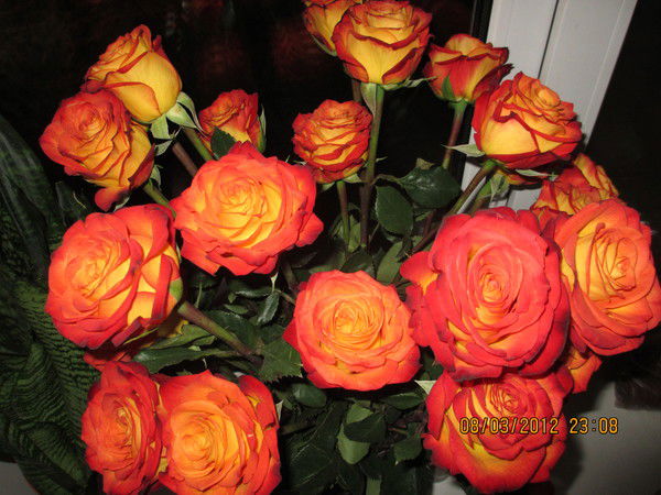 Татьяна Булыженская