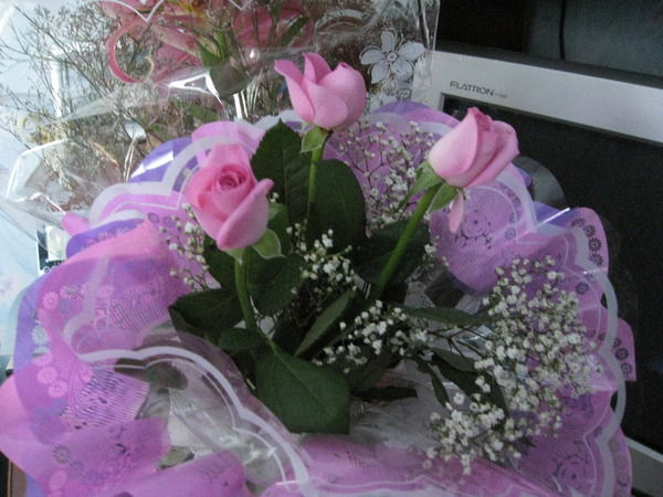 Наталья Юнис