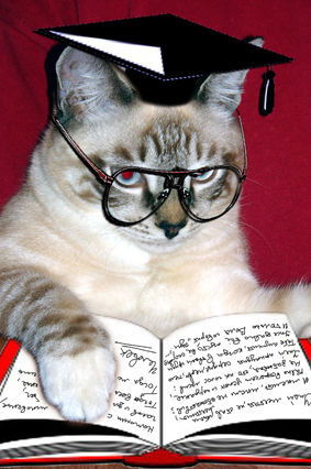 Кот Ученый