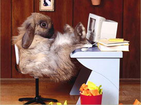 Сергей Афанасьев