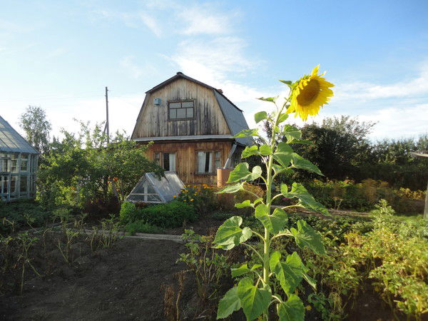 Расима Абдрахманова