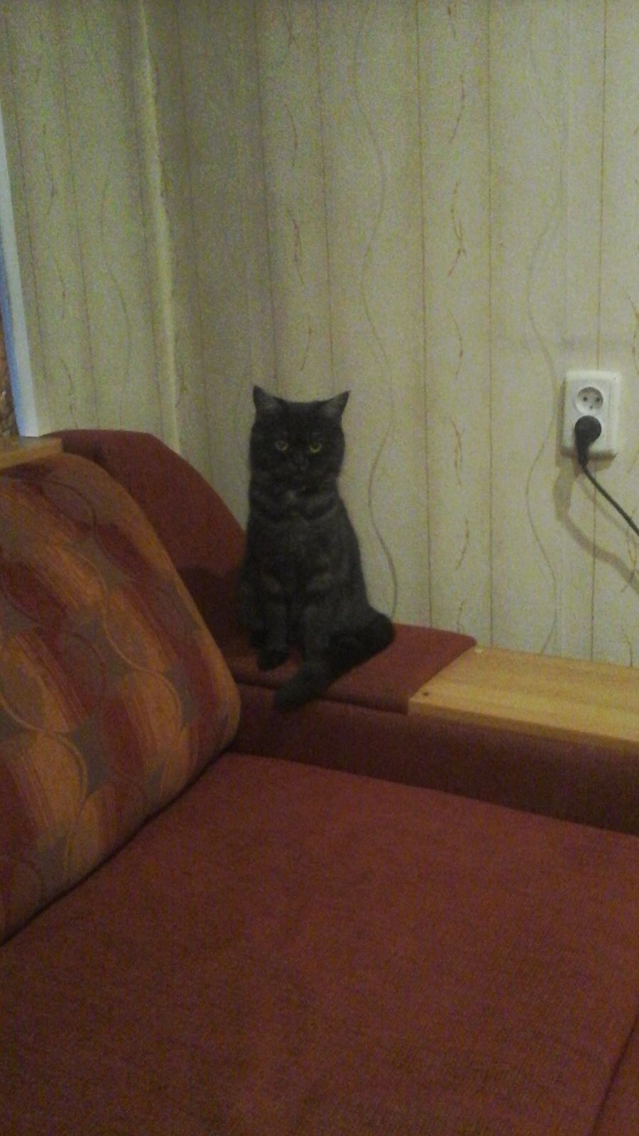 Ниночка Х . Х