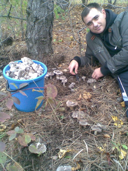 Роман Порческу