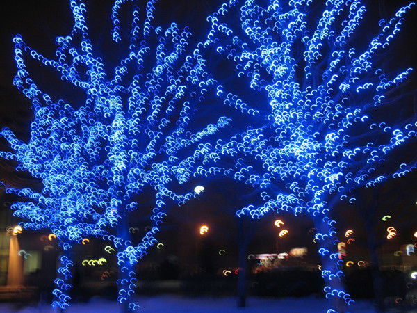 Елена Юхатская