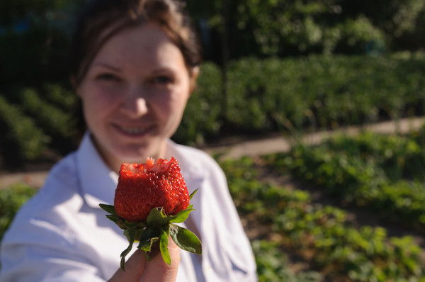 Татьяна Лысенко