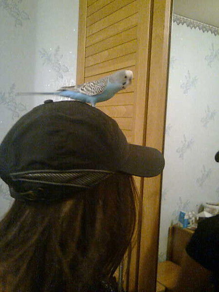 Наталья Исмаилова