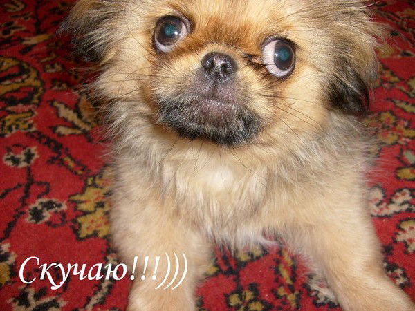 Оксана Виноградова