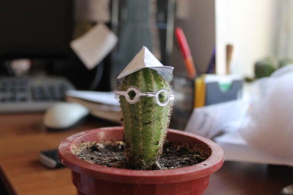 И.н. Шариева