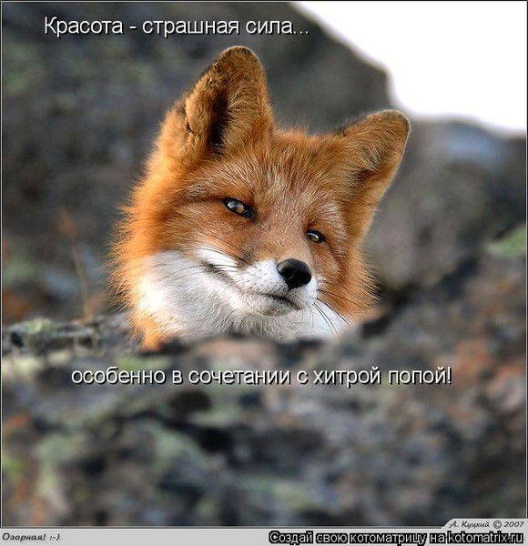 Ирина Клименко