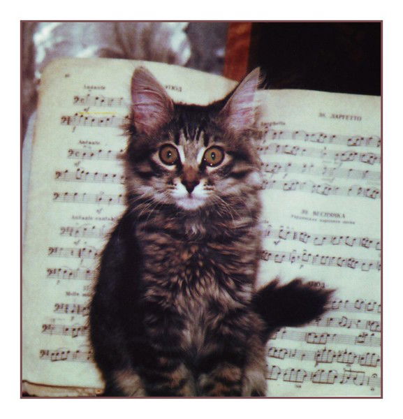 Ангелина Смирнова