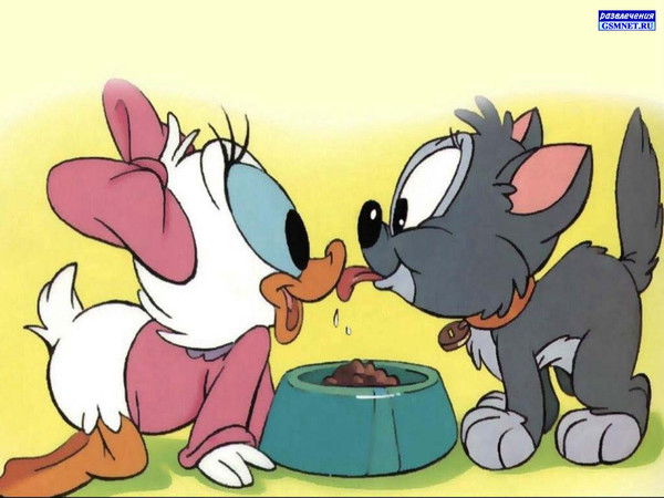 Светлана *****