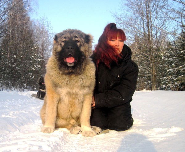 Ольга Хорошилова