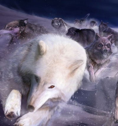 Мария Кузнецова