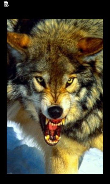 Аян Усукбеков