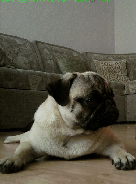 Александр Барбаков