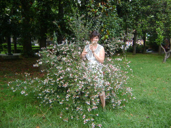 Людмила Агапова